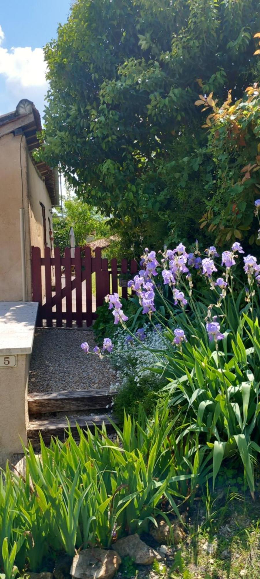 La Maison Du Tourniquet Aubeterre sur Dronne Bagian luar foto